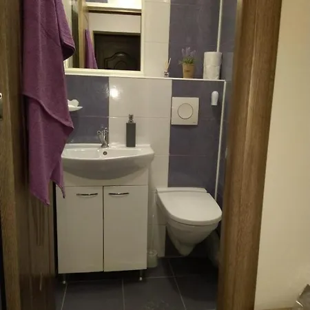 Apartament Delightful Two-room *